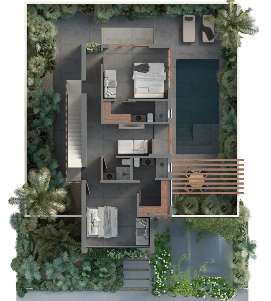 PLANTA 2